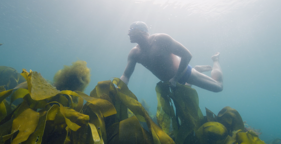 Lewis Pugh Kelp Forest
